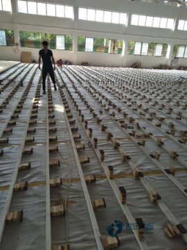 篮球场木地板这些问题真麻烦