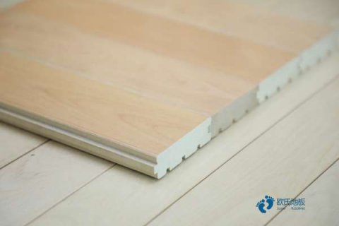 中国运动木地板行业有前途吗