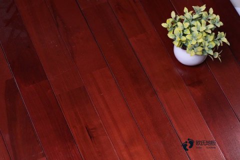 运动木地板养护重在细节