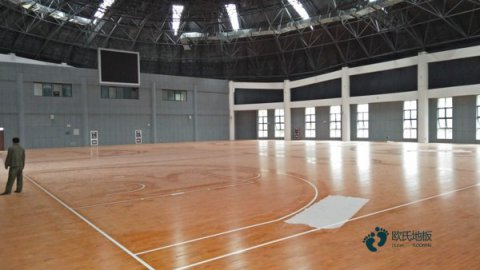 运动木地板材质哪个好