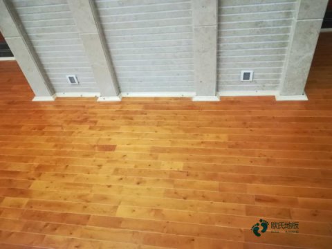 这样的运动木地板您买吗