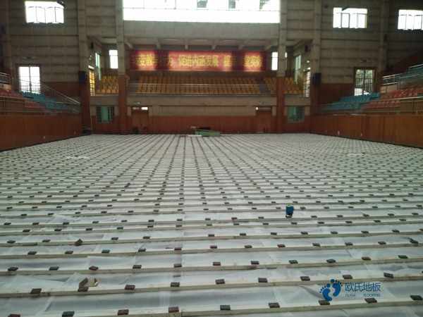 运动木地板的三大功能是什么？