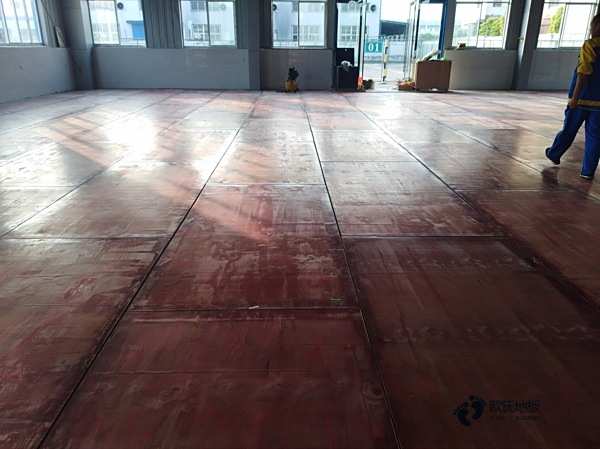 德国原木限制砍伐对我国影响几何