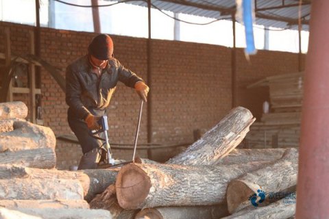 实木体育馆木地板哪家质量好
