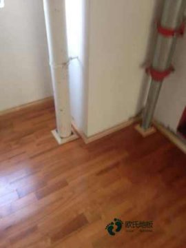 实木体育木地板那种好