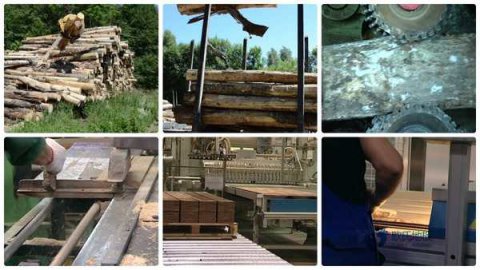 运动木地板的正确安装方法