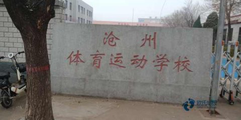 体育馆木地板品牌