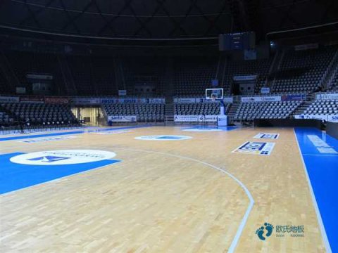 体育馆篮球木地板