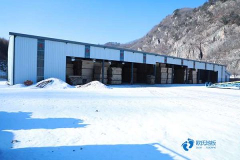 国产运动场木地板施工团队