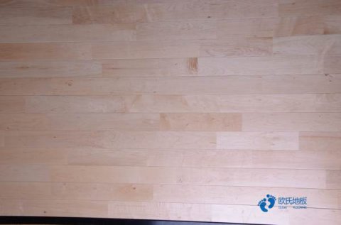 室内体育运动场实木地板实拍图