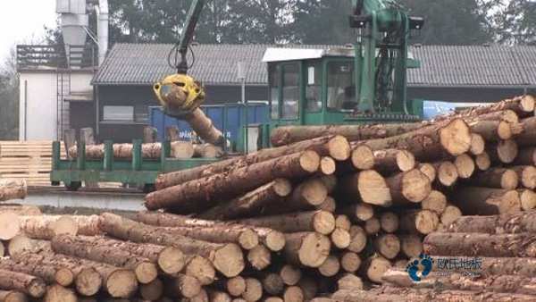 学校篮球场馆地板耐磨度3