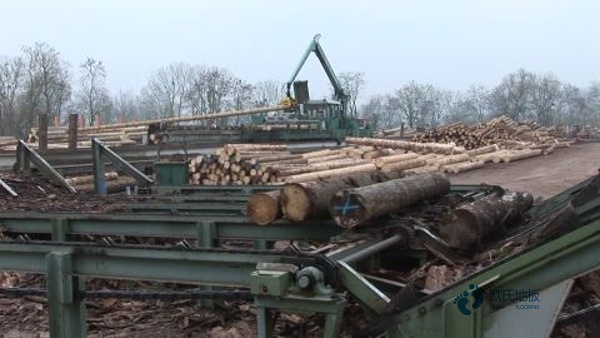 学校篮球场馆地板耐磨度2