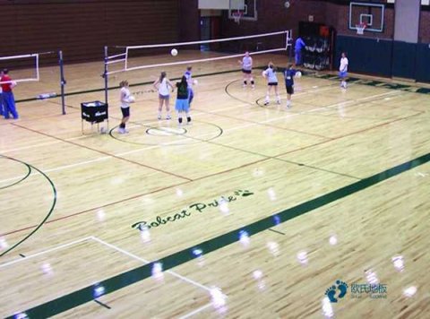 板式龙骨运动篮球木地板价目表