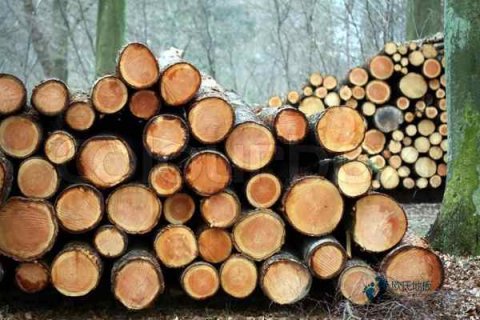 篮球运动木地板施工