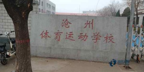 体育馆木地板怎样施工