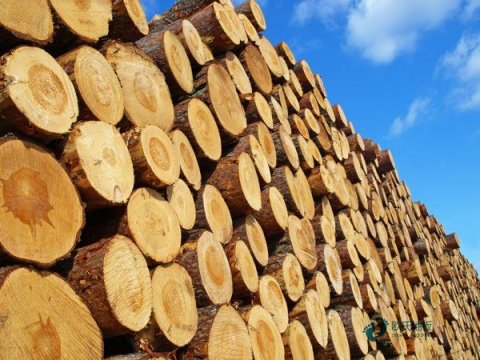 22mm厚篮球体育木地板较好的有哪些牌子