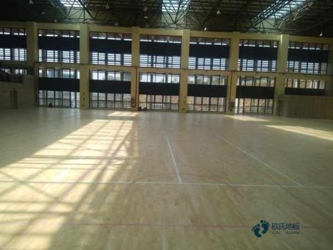 体育运动木地板判决书