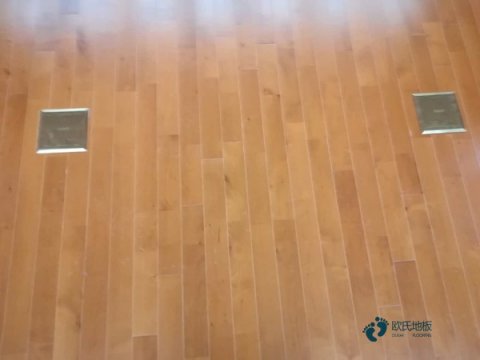 体育篮球地板哪种牌子好