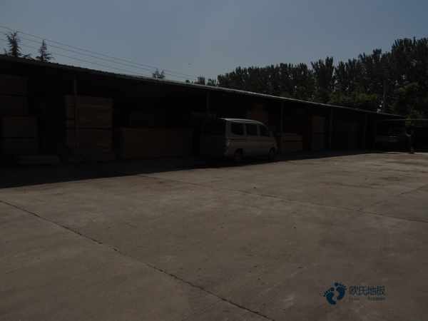 定做运动馆木地板较好的有哪些牌子3