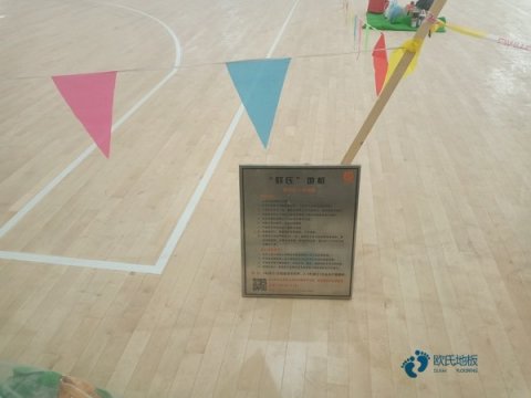 体育运动木地板市场开发