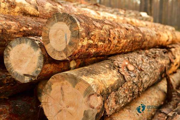 好用的运动篮球木地板多少钱能下来