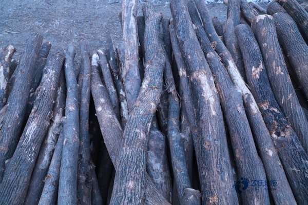 运动专用实木地板3