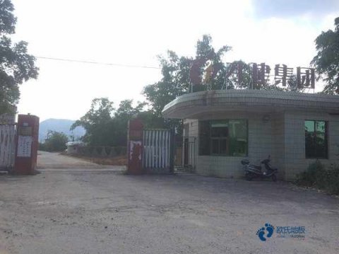 运动型木地板品牌