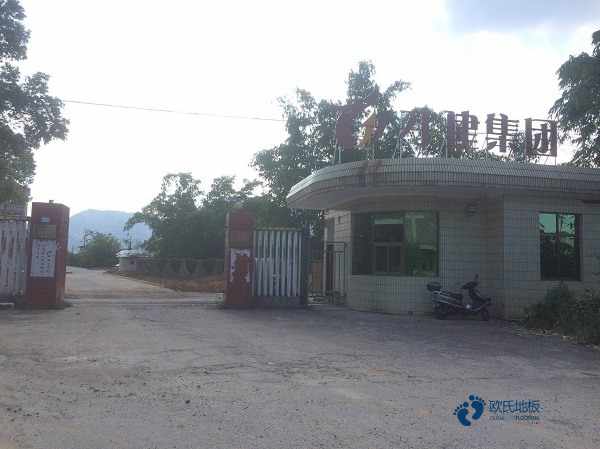 运动型木地板品牌1