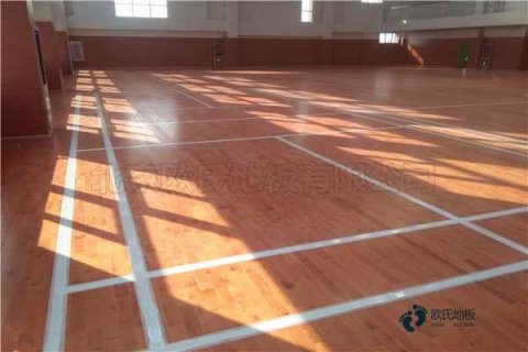 运动木地板领导品牌