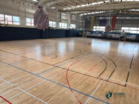 体育专用木地板