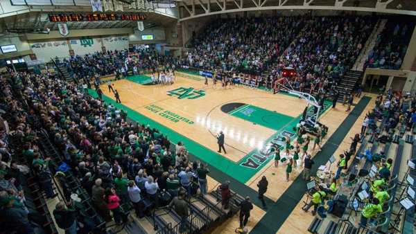 室内篮球木地板多少钱一平方2